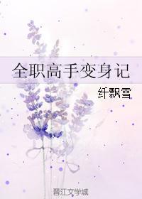 全职高手变身记封面