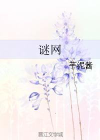 谜网封面