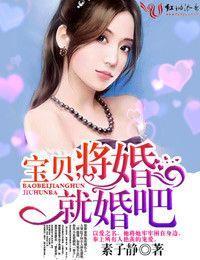 宝贝，将婚就婚吧！封面