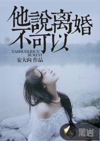 他说离婚不可以封面