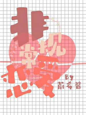 非常规恋爱封面