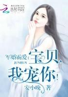 婚令如山：宝贝，我宠你！封面