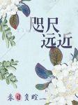 咫尺远近封面