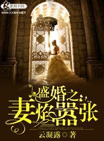 盛婚之妻焰嚣张封面