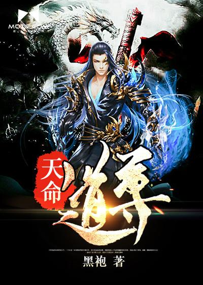 天命道尊封面