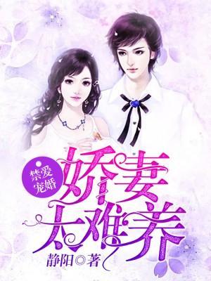禁爱宠婚：娇妻太难养封面