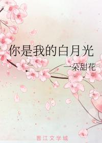 你是我的白月光封面