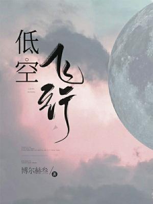 低空飞行封面