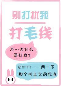 别打扰我打毛线封面