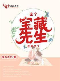 这个宝藏先生是我的了封面