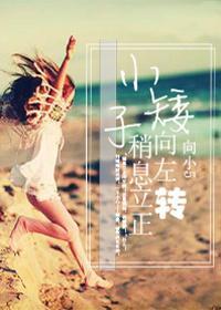 小矮子稍息立正向左转封面