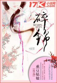 碎锦封面