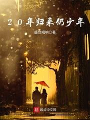 20年归来仍少年封面