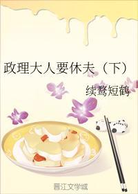 政理大人要休夫（下）封面