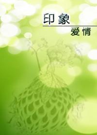 印象爱情封面