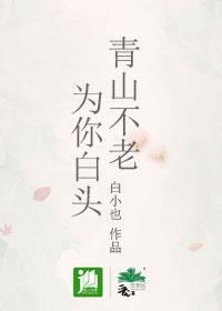 青山不老，为你白头封面