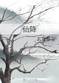 仙降封面