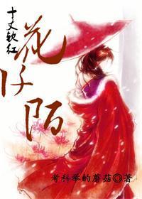 十丈钦红花阡陌封面