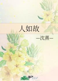 人如故封面