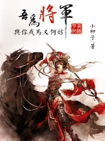 吾为将军封面