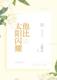 他比太阳闪耀封面