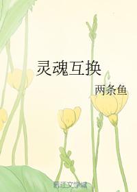 灵魂互换封面