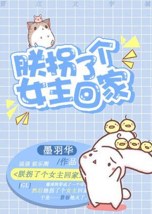 朕拐了个女主回家封面