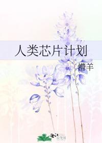 人类芯片计划封面