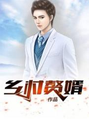乡村少婿陈凡李清兰封面