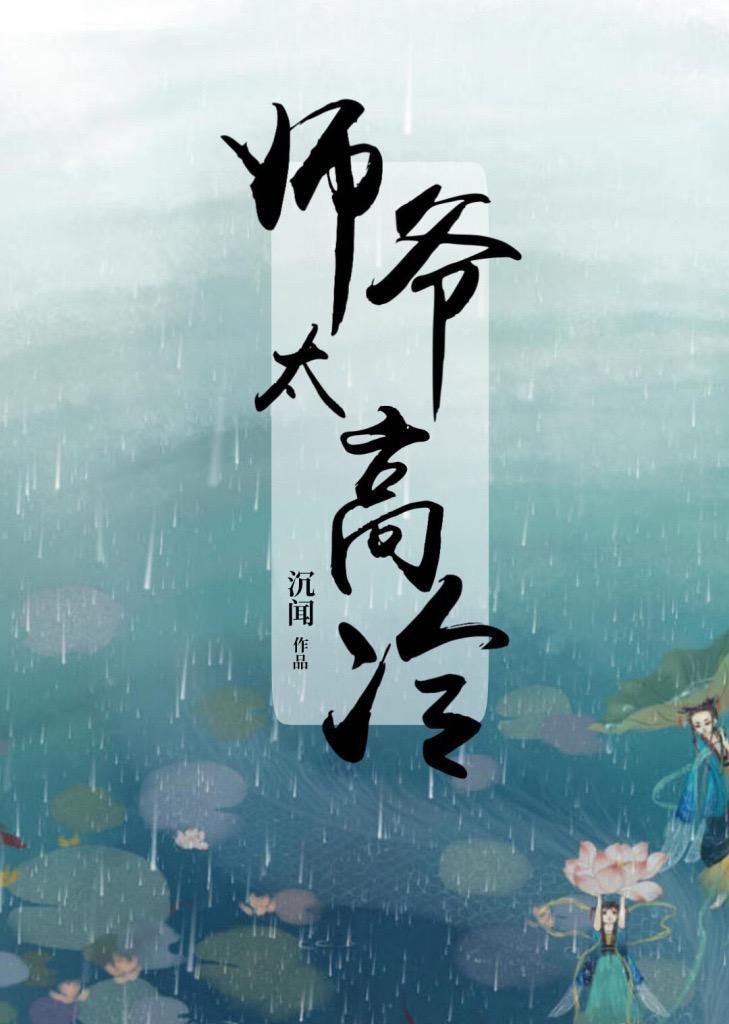 师爷太高冷封面