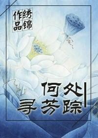 何处寻芳踪封面