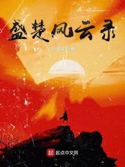 盛楚风云录封面