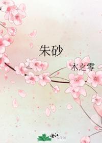 朱砂封面