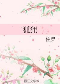 狐貍封面