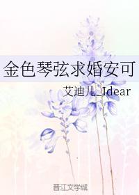 金色琴弦求婚安可封面