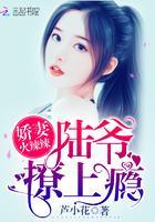 娇妻火辣辣：陆爷，撩上瘾！封面