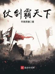 仗剑霸天下封面