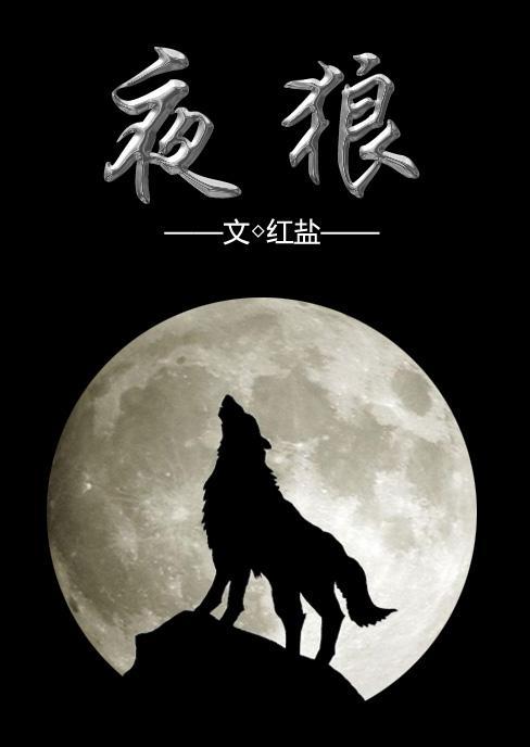 [未来]夜狼封面