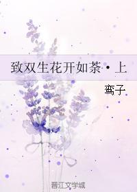 致双生花开如荼·上封面