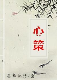 心策封面