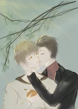 丑橘封面