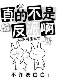 真的不是反派啊封面