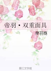 帝羽·双重面具封面