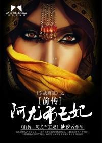 阿尤布王妃封面