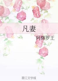 凡妻封面