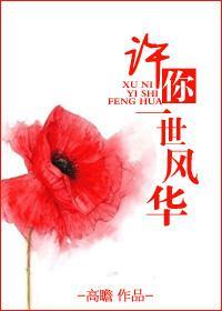 许你一世风华封面