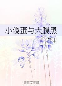 小傻蛋与大腹黑封面