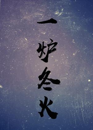 一炉冬火封面