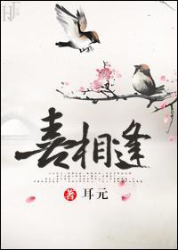喜相逢封面