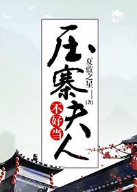 压寨夫人不好当封面